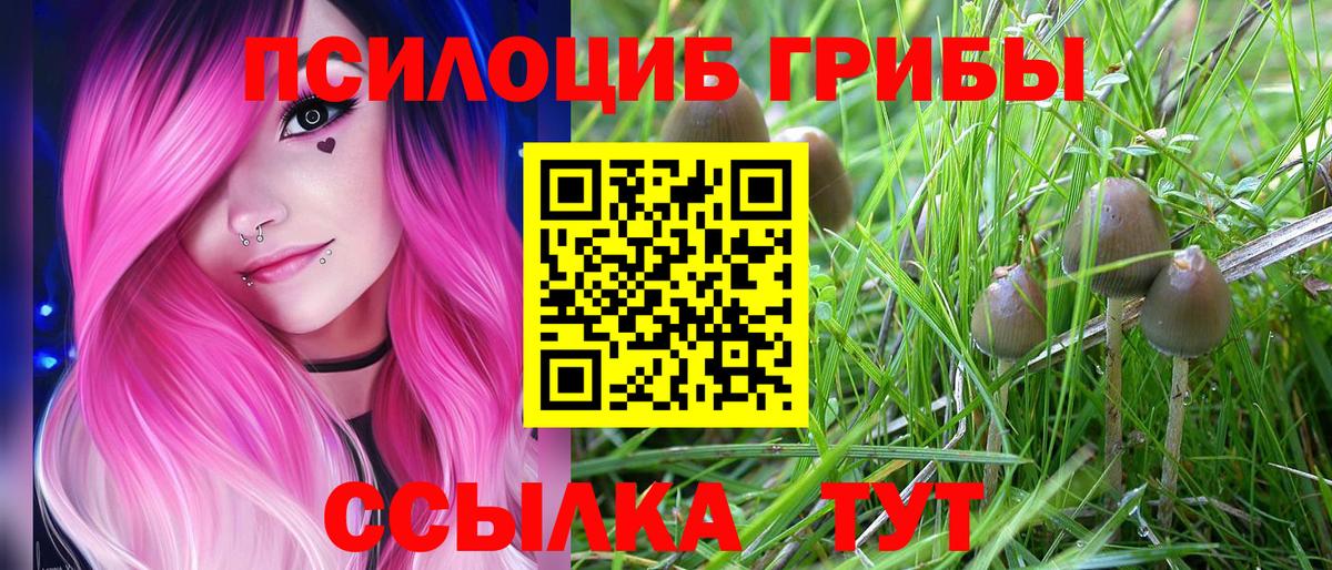 Осинники  Галлюциногенные грибы Psilocybine cubensis  Галлюциногенные грибы MAGIC MUSHROOMS  Вход с VPN 