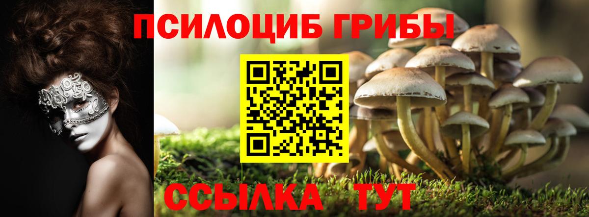 Галлюциногенные грибы Cubensis  купить закладку  Осинники  Вход с VPN 