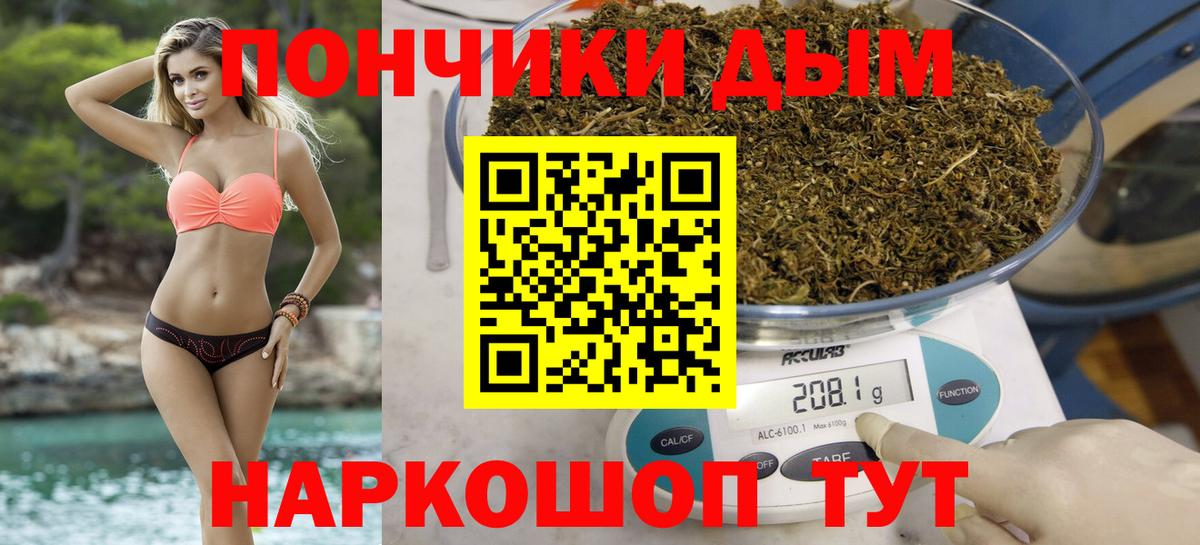 Канабис семена  Канабис Bruce Banner  Осинники  Вход с VPN 